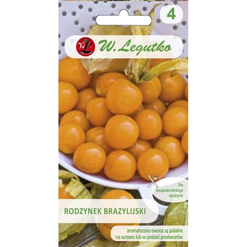 Physalis Legutko interface.art Bild 1 Physalis Legutko interface.image 1 interface.art 96811