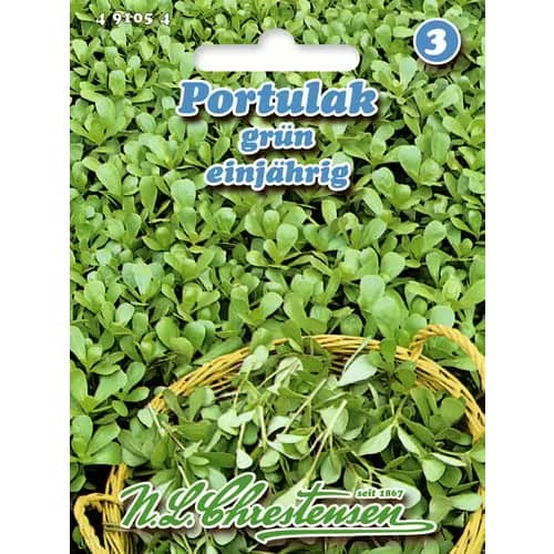 Portulak grün interface.image 1 interface.art 96439