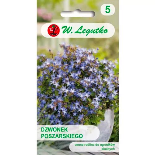 Poszarski-Glockenblume Legutko interface.image 1 interface.art 50097