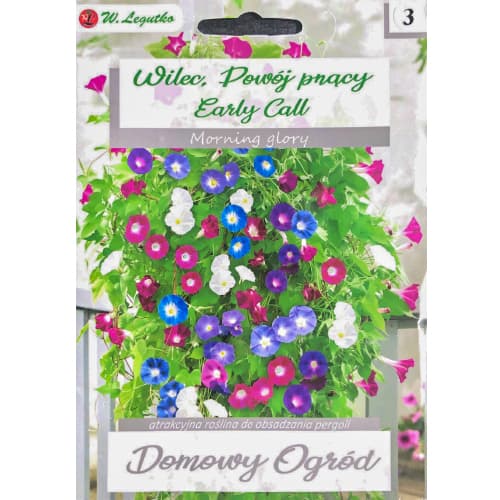 Prunkwinde Early Call interface.art Bild 1 Prunkwinde Early Call interface.image 1 interface.art 96781