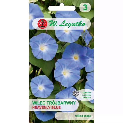 Prunkwinde Heavenly Blue interface.art Bild 1 Prunkwinde Heavenly Blue interface.image 1 interface.art 78595