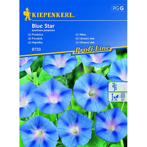Prunkwinde Blue Star interface.art Bild 1 Prunkwinde Blue Star interface.image 1 interface.art 86268