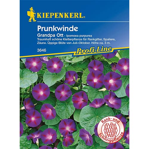 Prunkwinde Grandpa Ott interface.art Bild 1 Prunkwinde Grandpa Ott interface.image 1 interface.art 87256