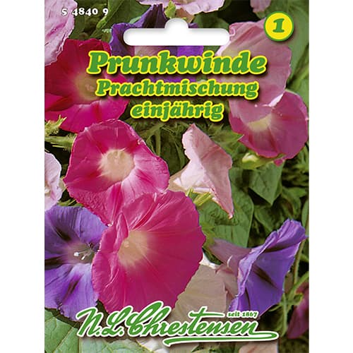 Prunkwinde Prachtmischung interface.art Bild 1 Prunkwinde Prachtmischung interface.image 1 interface.art 86178