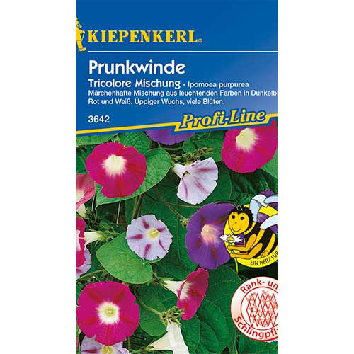 Prunkwinden Violett Tricolor, mix interface.image 1 interface.art 86303