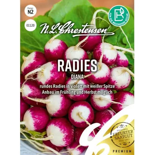 Radies Diana interface.image 1 interface.art 86088