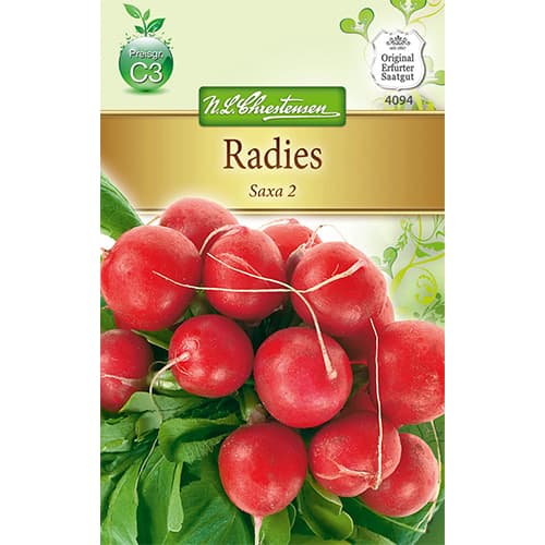 Radies Saxa 2 interface.image 1 interface.art 78802