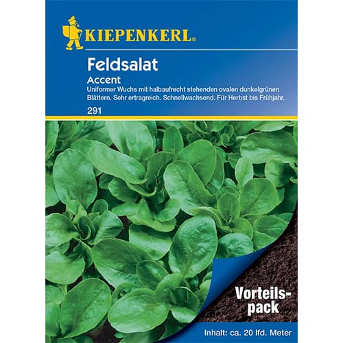 Feldsalat Accent interface.art Bild 1 Feldsalat Accent interface.image 1 interface.art 77494