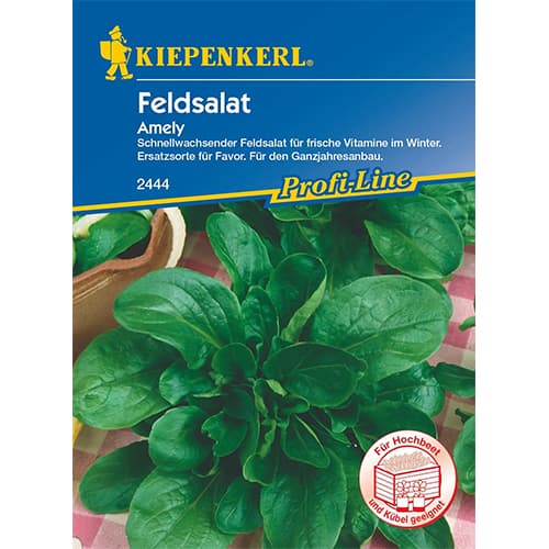 Feldsalat Amely interface.art Bild 1 Feldsalat Amely interface.image 1 interface.art 87276