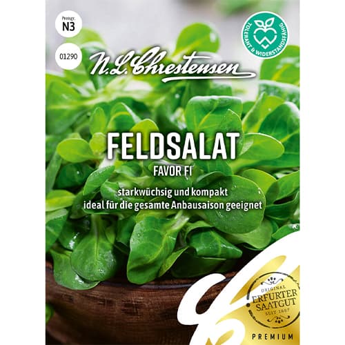 Feldsalat Favor F1 interface.art Bild 1 Feldsalat Favor F1 interface.image 1 interface.art 86039