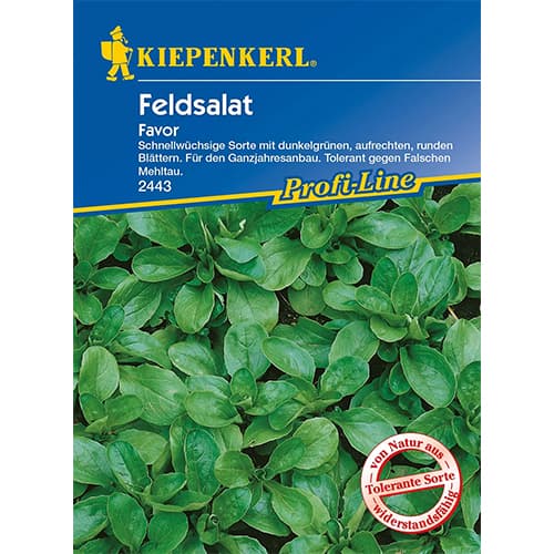 Feldsalat Favor interface.image 1 interface.art 86449