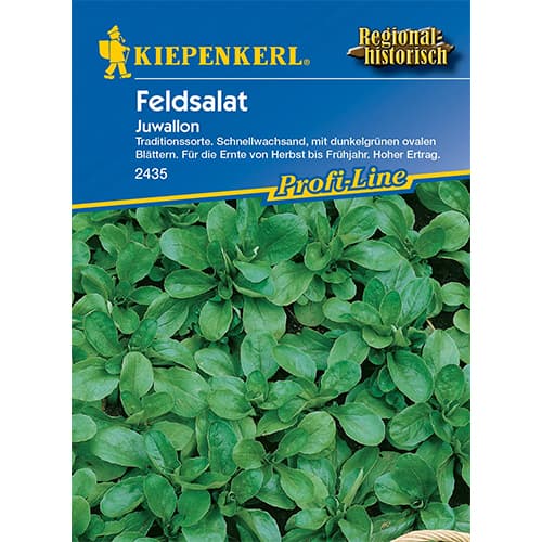 Feldsalat Juwallon interface.art Bild 1 Feldsalat Juwallon interface.image 1 interface.art 96615