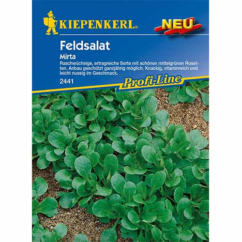 Feldsalat Mirta interface.art Bild 1 Feldsalat Mirta interface.image 1 interface.art 96616