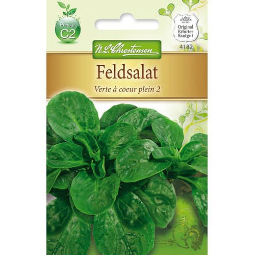 Feldsalat Verte a coeur plein 2 interface.art Bild 1 Feldsalat Verte a coeur plein 2 interface.image 1 interface.art 78766