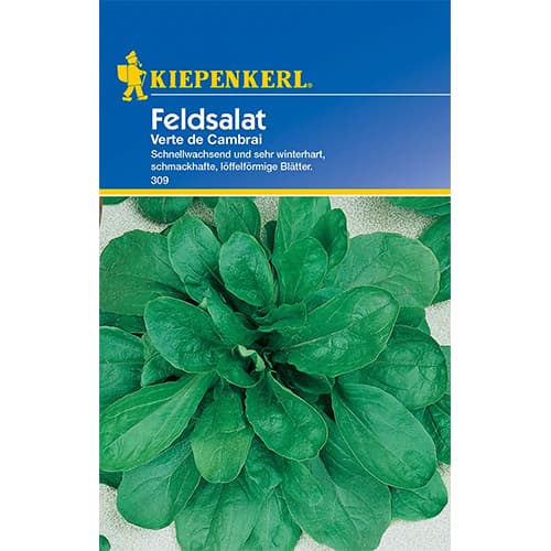 Feldsalat Verte de Cambrai Kiepenkerl interface.image 1 interface.art 77493