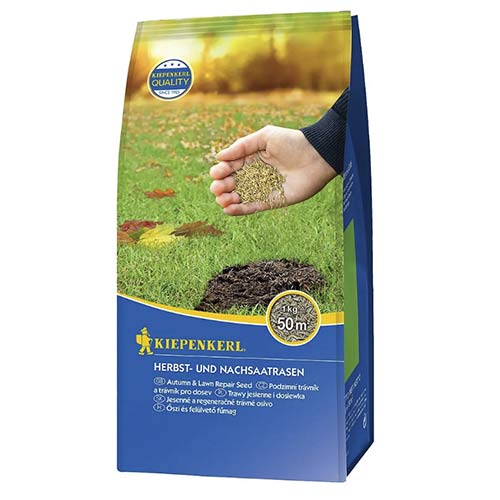 Herbst- und Nachsaatrasen (1kg) interface.image 1 interface.art 96888