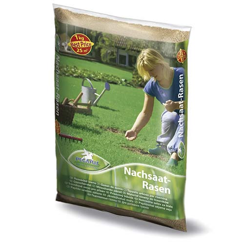Rasensamen Nachsaat-Rasen (1kg) interface.art Bild 1 Rasensamen Nachsaat-Rasen (1kg) interface.image 1 interface.art 96895