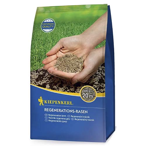 Regenerations - Rasen (500 g) interface.art Bild 1 Regenerations - Rasen (500 g) interface.image 1 interface.art 96891
