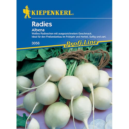 Radies Albena interface.art Bild 1 Radies Albena interface.image 1 interface.art 86508