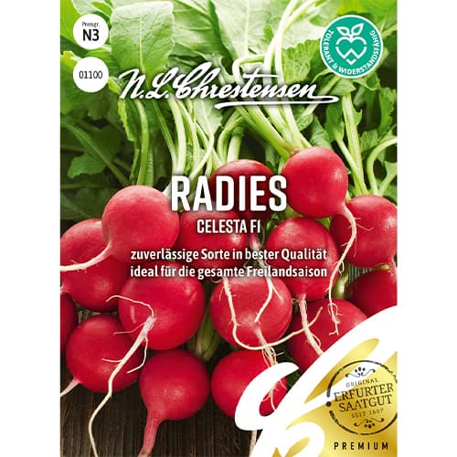 Radies Celesta F1 interface.art Bild 1 Radies Celesta F1 interface.image 1 interface.art 86085