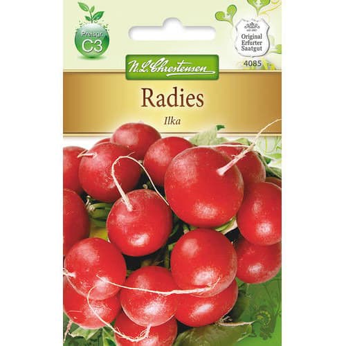 Radies Ilka interface.image 1 interface.art 78742