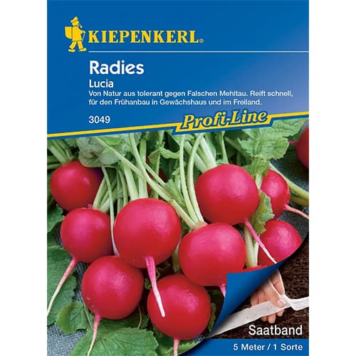 Radies Lucia F1 interface.art Bild 1 Radies Lucia F1 interface.image 1 interface.art 86510