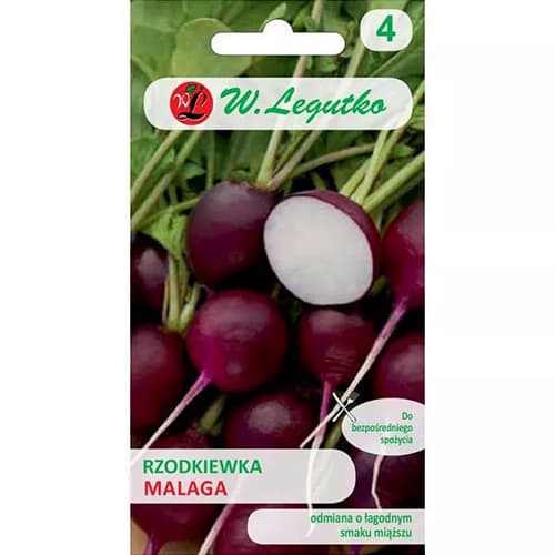 Rettich Malaga interface.art Bild 1 Rettich Malaga interface.image 1 interface.art 86896