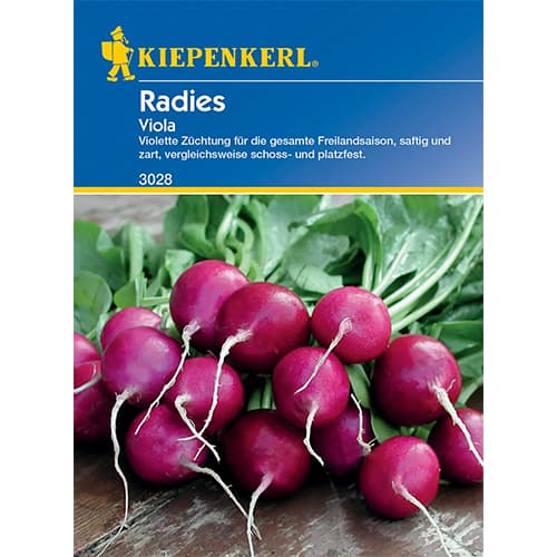 Radies Viola interface.art Bild 1 Radies Viola interface.image 1 interface.art 77487