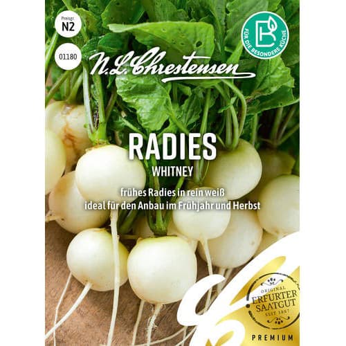 Radies Whitney interface.art Bild 1 Radies Whitney interface.image 1 interface.art 96488