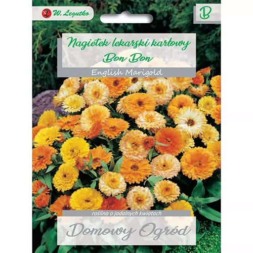 Ringelblume Bon Bon Mischung interface.art Bild 1 Ringelblume Bon Bon Mischung interface.image 1 interface.art 69660