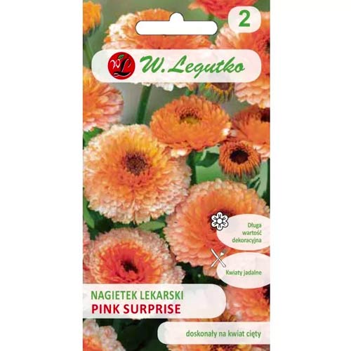 Ringelblume Pink Surprise Legutko interface.image 1 interface.art 78582