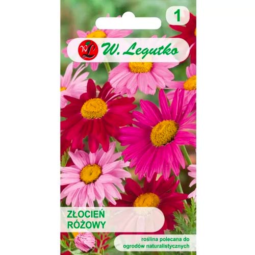 Rosengeißblatt, mischung Legutko interface.art Bild 1 Rosengeißblatt, mischung Legutko interface.image 1 interface.art 50125