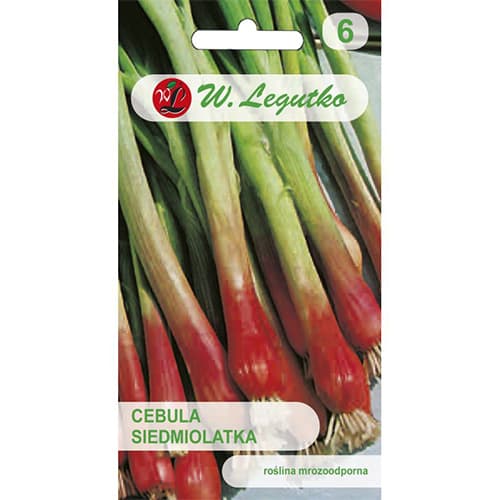 Rote Lauchzwiebel Red Toga interface.image 1 interface.art 78452