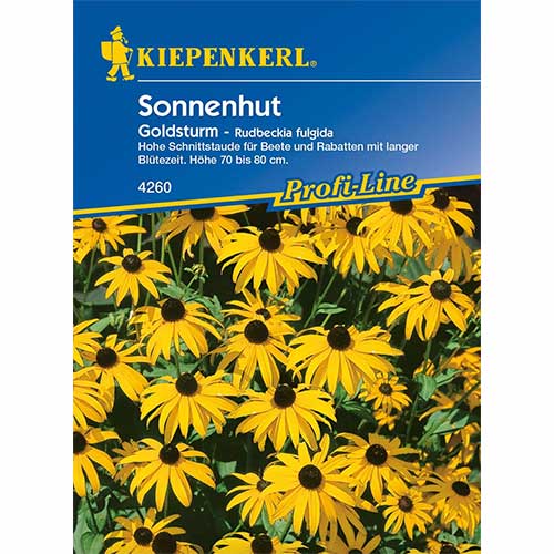 Sonnenhut Rudbeckia Goldsturm interface.image 1 interface.art 96583