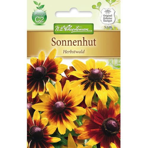 Sonnenhut Herbstwald interface.art Bild 1 Sonnenhut Herbstwald interface.image 1 interface.art 78934