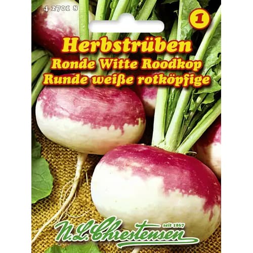 Herbstrüben Ronde Witte Roodkop interface.art Bild 1 Herbstrüben Ronde Witte Roodkop interface.image 1 interface.art 96477