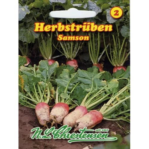 Herbstrüben Samson interface.art Bild 1 Herbstrüben Samson interface.image 1 interface.art 96476