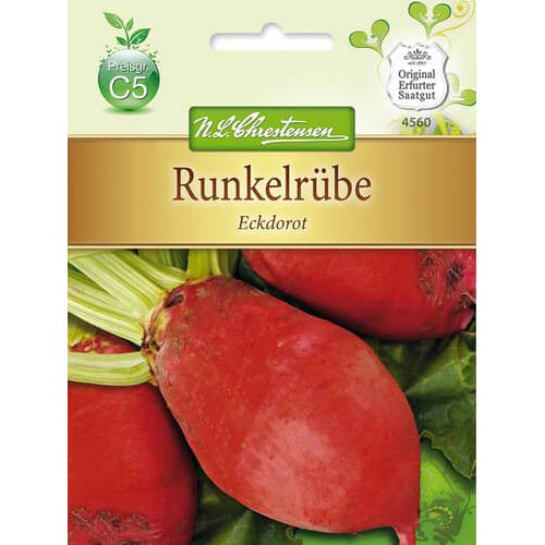 Runkelrübe Eckdorot interface.image 1 interface.art 78882