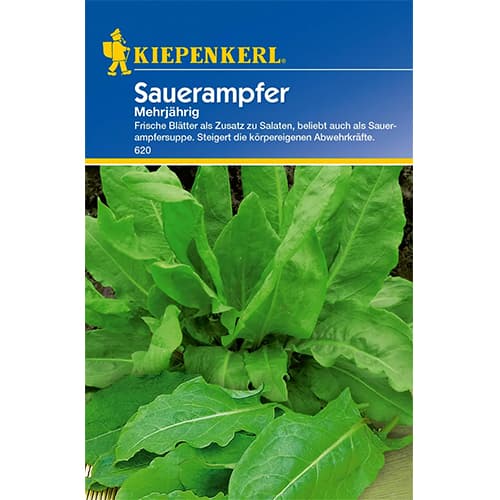 Sauerampfer Mehrjährig interface.image 1 interface.art 77474