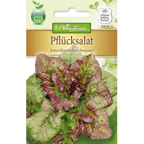 Pflücksalat Amerikanischer Brauner interface.image 1 interface.art 78777
