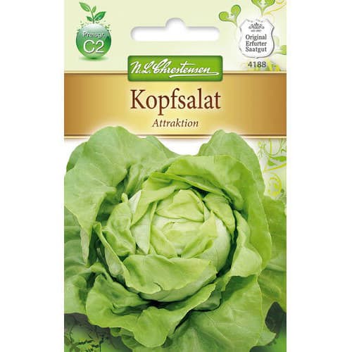 Kopfsalat Attraktion Chrestensen interface.art Bild 1 Kopfsalat Attraktion Chrestensen interface.image 1 interface.art 78768