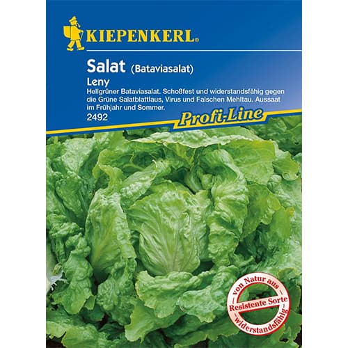 Bataviasalat Leny interface.art Bild 1 Bataviasalat Leny interface.image 1 interface.art 96595