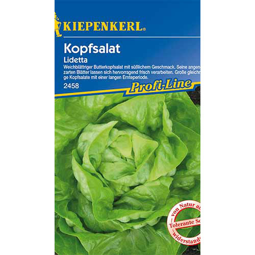 Kopfsalat Lidetta interface.art Bild 1 Kopfsalat Lidetta interface.image 1 interface.art 86463