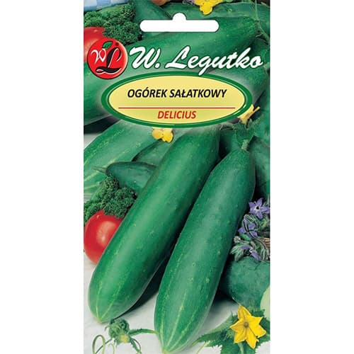 Salatgurke Delicius interface.image 1 interface.art 78491