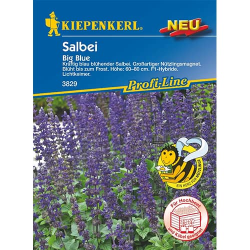 Salbei Big Blue F1 interface.art Bild 1 Salbei Big Blue F1 interface.image 1 interface.art 86306