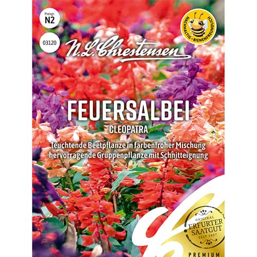 Feuersalbei Cleopatra interface.image 1 interface.art 86150