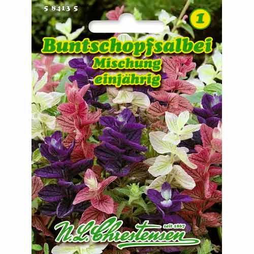 Salbei Mischung Chrestensen  interface.image 1 interface.art 50032