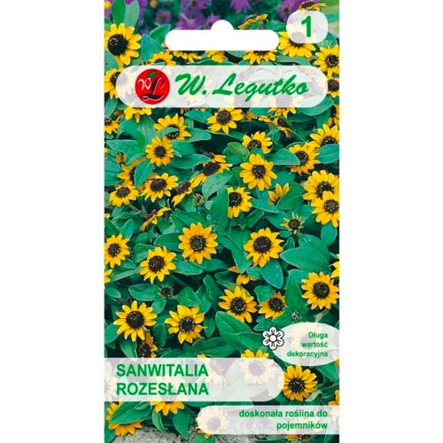 Sanwitalia rosacea Legutko interface.image 1 interface.art 50118