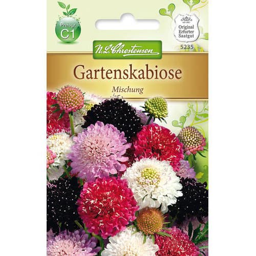 Gartenscabiose Mischung interface.art Bild 1 Gartenscabiose Mischung interface.image 1 interface.art 78936