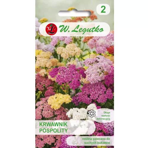 Schafgarbe, mischung Legutko interface.image 1 interface.art 50106